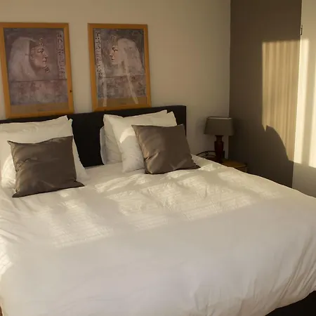 大理石住宿加早餐旅馆 3* 阿姆斯特丹